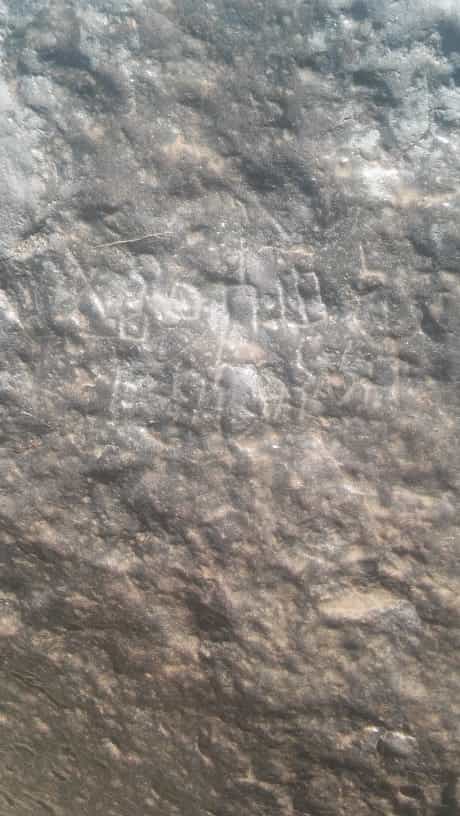 الشرعي موكل 9